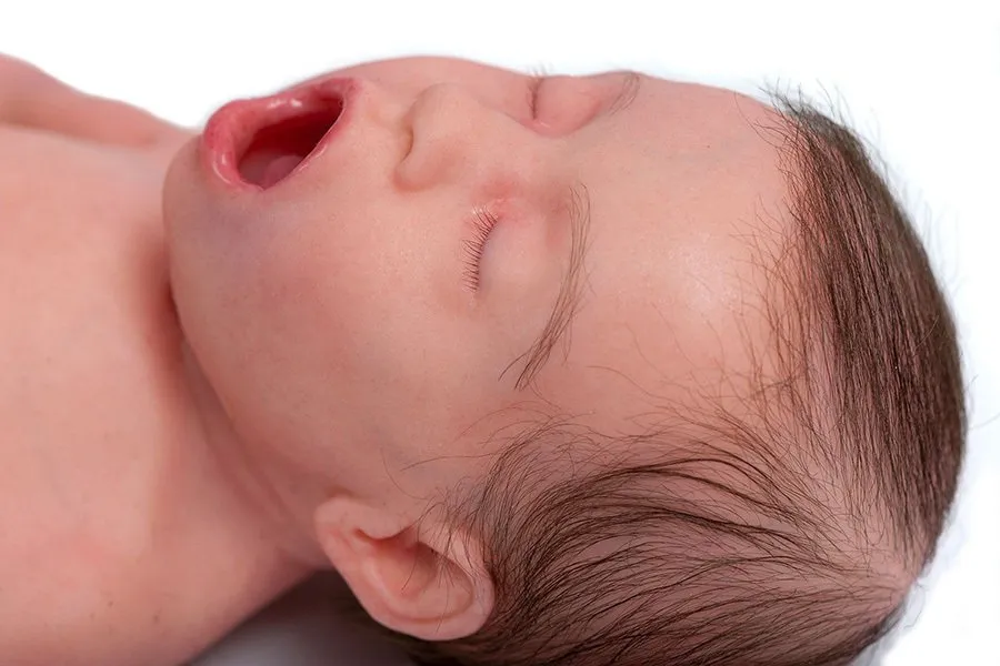 Echo Healthcare's Lifecast Baby Manikin