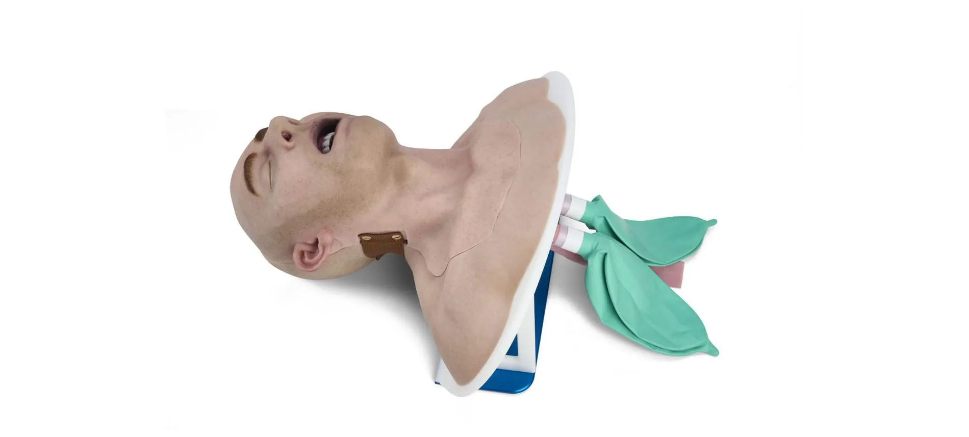 7-SIGMA highly realistic intubation & airway trainer