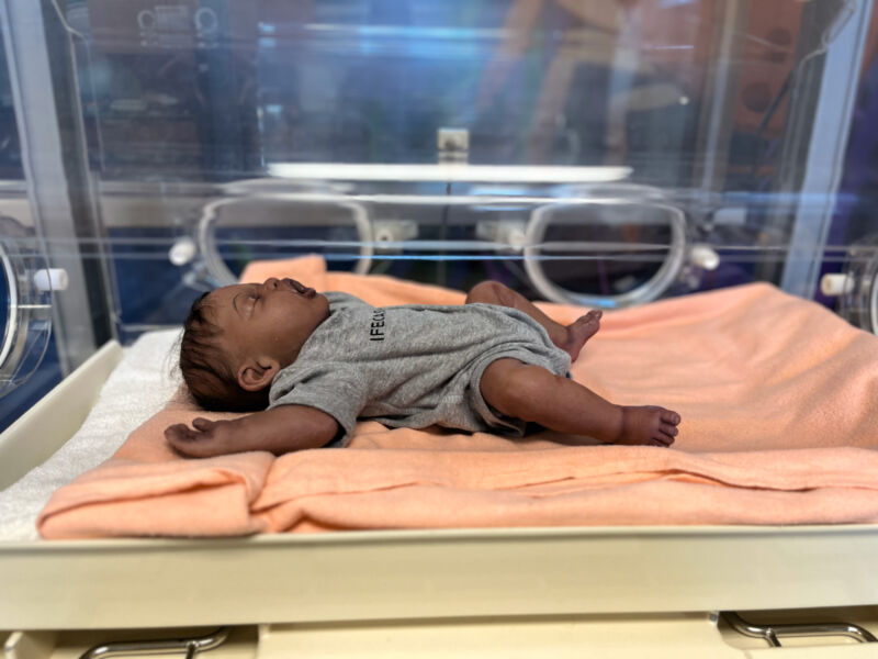 Lifecast Newborn Manikins – Echo Healthcare