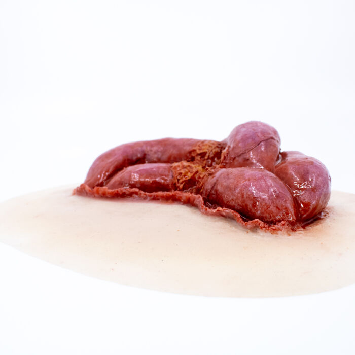 Echo Healthcare's TraumaSim large evisceration silicone wound moulage