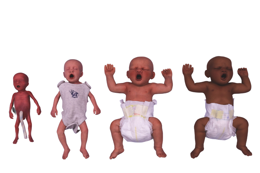 Echo Healthcare's Lifecast Infant Manikins